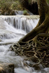 Cascada de Luang Prabang, Laos
