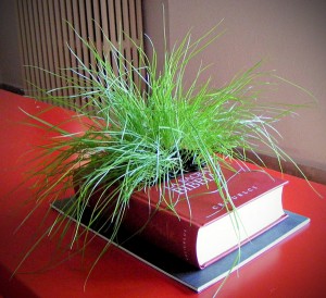libro y planta
