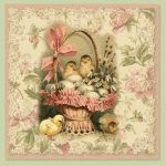 pascua